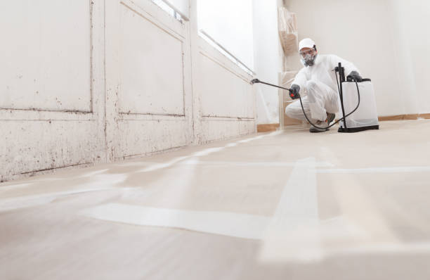 24/7 Emergency Mold Testing experts in Sharon, PA