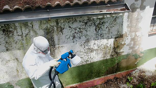 Trusted Mold Testing service in Sharon, PA - Cheap Mold Removal